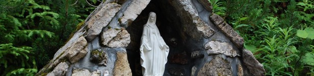 <i>Skoro tak wielu ludziom w służbie zdrowia nie możemy ufać nawet w sprawach mniejszej wagi niż nasze życie, czy trzeba wielkiej wyobraźni, żeby przedstawić sobie negatywne skutki dopuszczenia w Polsce eutanazji? Jej zwolennicy podkreślają, że warunkiem jest ścisła kontrola prawna i medyczna. W naszych realiach? Skąd założenie, że akurat w kwestii eutanazji standardy będą wyższe niż zwykle? Czy nie znajdą się tacy, którzy potrafią ominąć nawet najbardziej precyzyjne wymagania prawodawców?</i> - czytamy w Rzeczpospolitej sprzed roku. Nawet, gdyby autor napisał to kilka lat temu - nie straciłoby nic na aktualności. Jedynie, ludzie nie wiedzieliby, o co chodzi,lub udawaliby, że nie widzą. Wszak kilka lat temu większość ludzi nie miała pojęcia o istnieniu łowców skór, o czym usłyszał cały świat nie tak dawno.