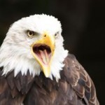 Napisał do sądu o szybką śmierć. Poprosił o eutanazję…