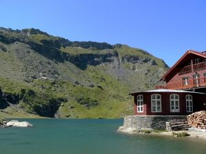 eutanazja na parkingach samochodowych